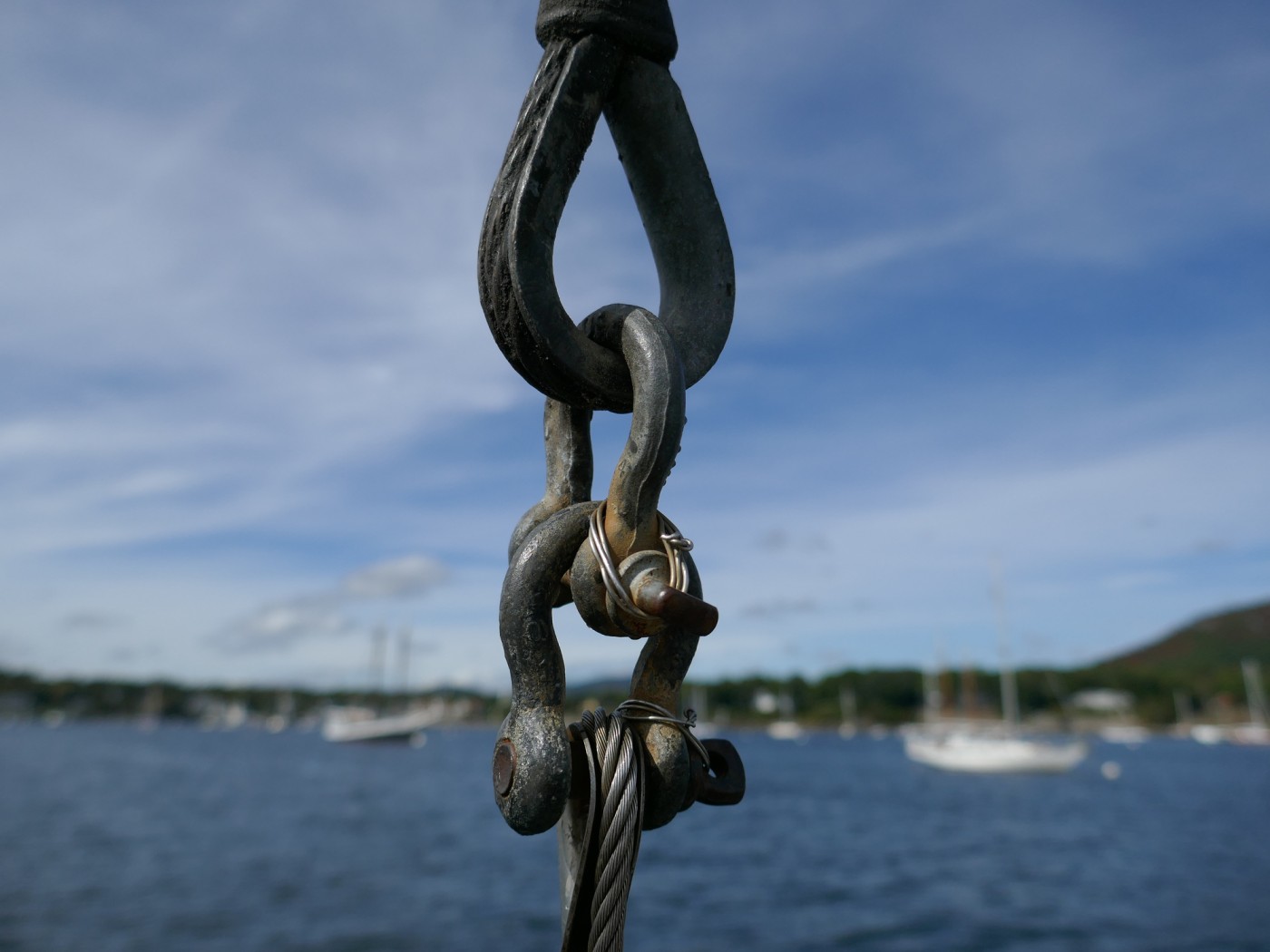 Main parts of a bow shackle